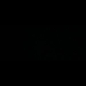 Meet your Posher, Alanna